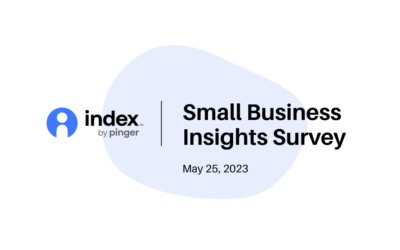 Small Business Insights Survey