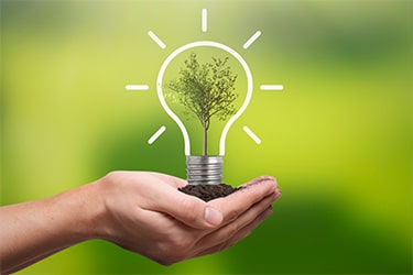 8 Green Ideas to Help Your Small Business and the Planet
